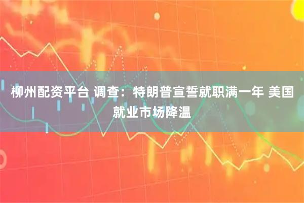 柳州配资平台 调查：特朗普宣誓就职满一年 美国就业市场降温