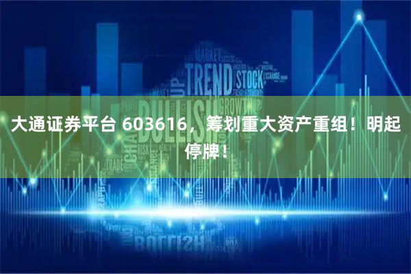 大通证券平台 603616，筹划重大资产重组！明起停牌！