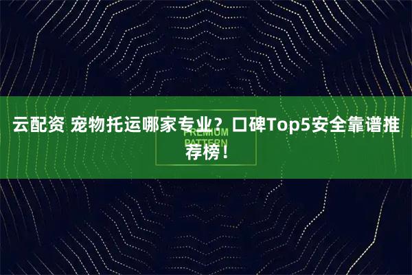 云配资 宠物托运哪家专业？口碑Top5安全靠谱推荐榜！